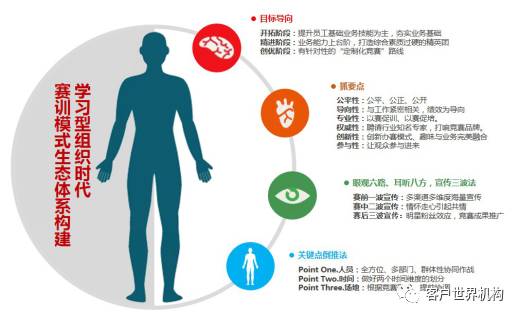 学习型组织时代，竞赛式培训新思路